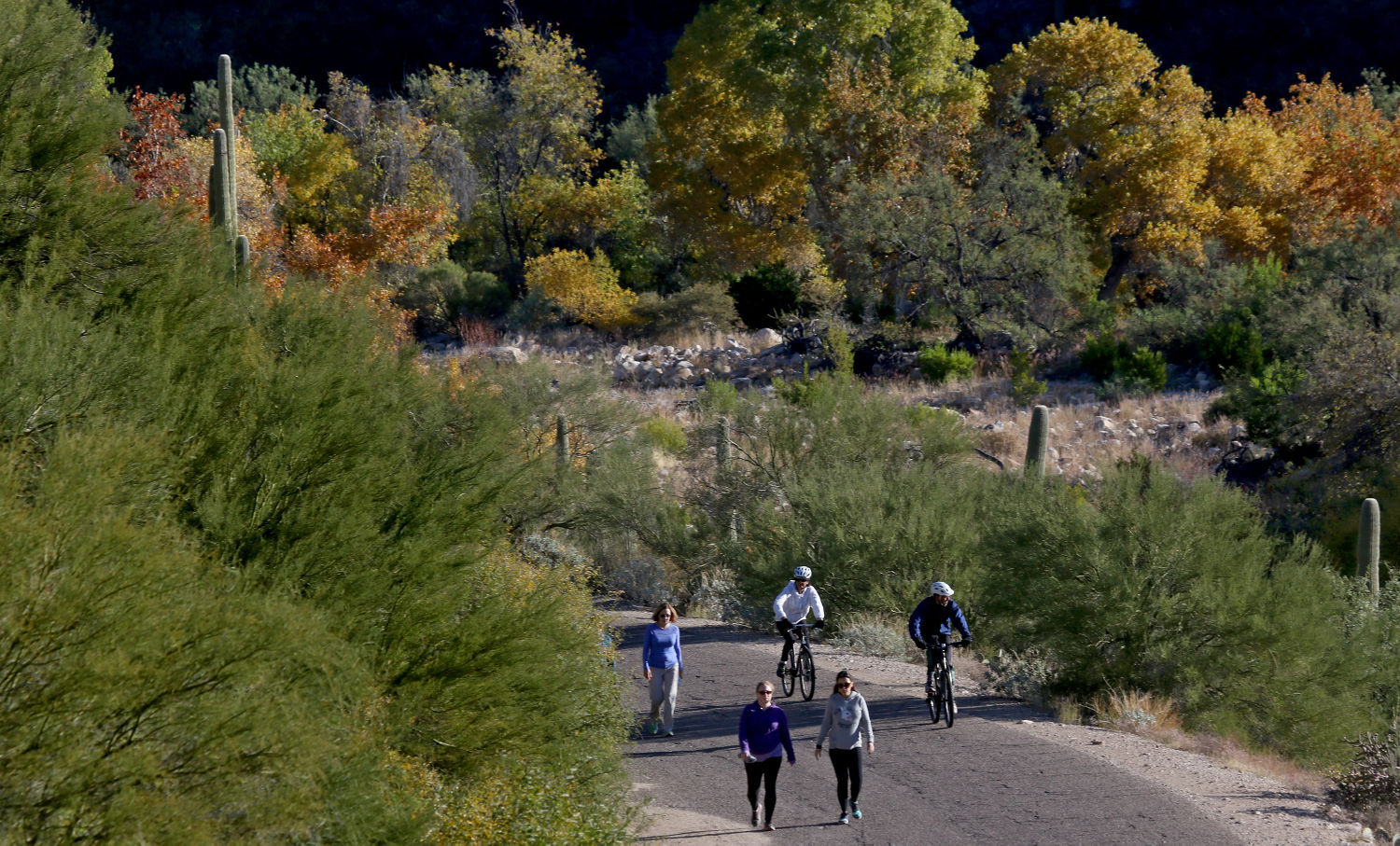 Hiking Sabino